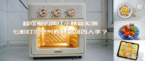 网红气烤炉,烹饪新潮流，美食生活新体验